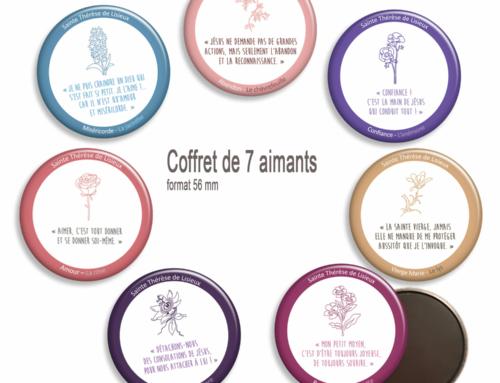 Magnets Sainte-Thérèse de Lisieux